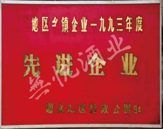  地区乡镇企业1993年度先进企业